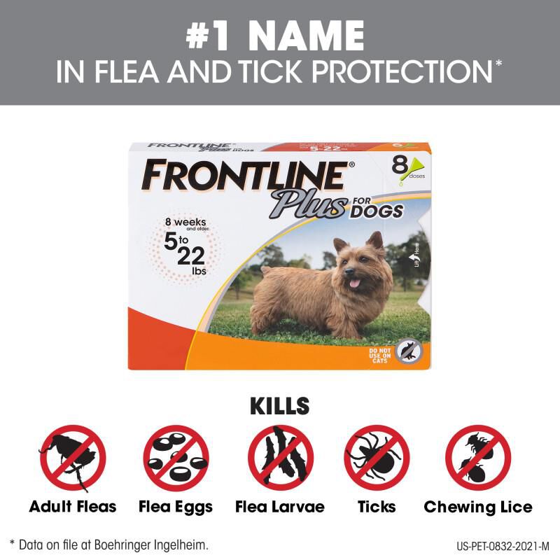 Frontline 8 sale month supply