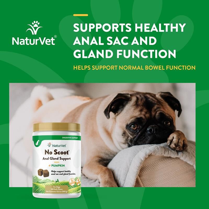 NaturVet No Scoot for Dogs, 120 Soft Chews