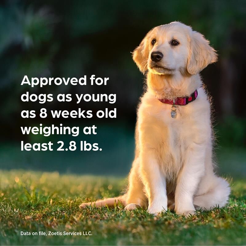 Simparica Trio Chewable Tablets for Dogs 22.1-44 lbs Blue, 6 Month Supply