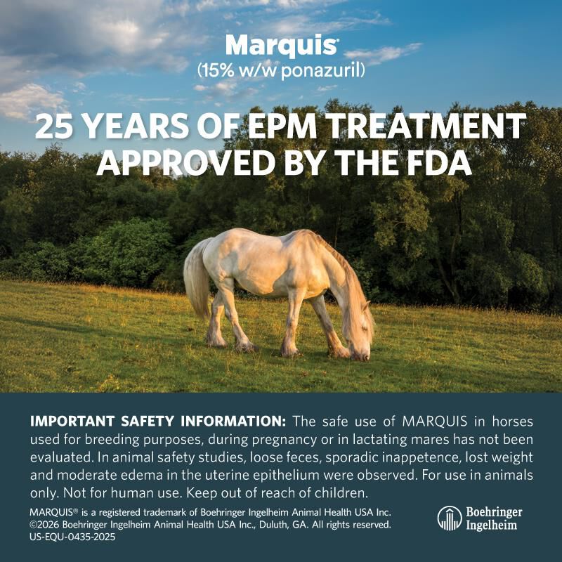 Marquis (15% w/w ponazuril) Antiprotozoal Oral Paste for Horses, 127 gm