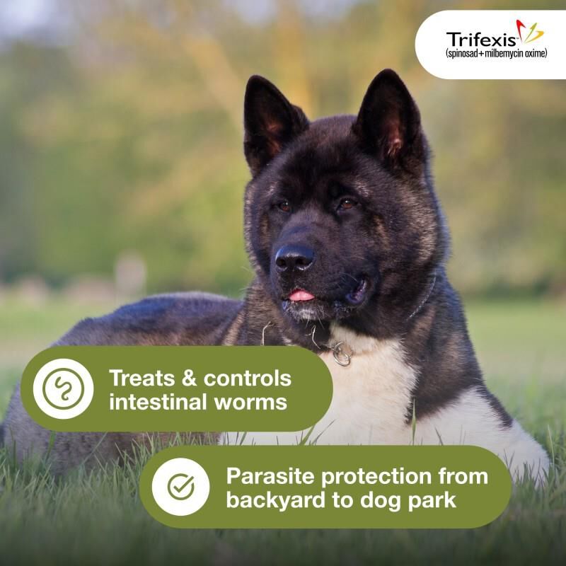 Trifexis Chewable Tablets for Dogs 20.1-40 lbs Green, 6 Month Supply