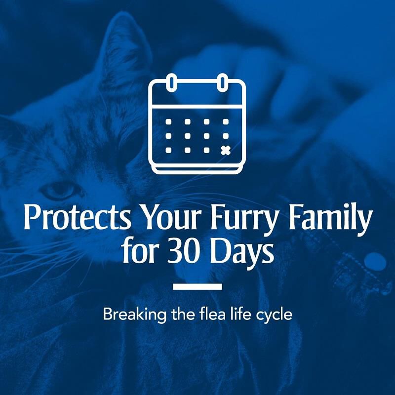 PetArmor Plus Flea and Tick Prevention for Cats (Over 1.5 Pounds) Topical, 3 Monthly Treatments