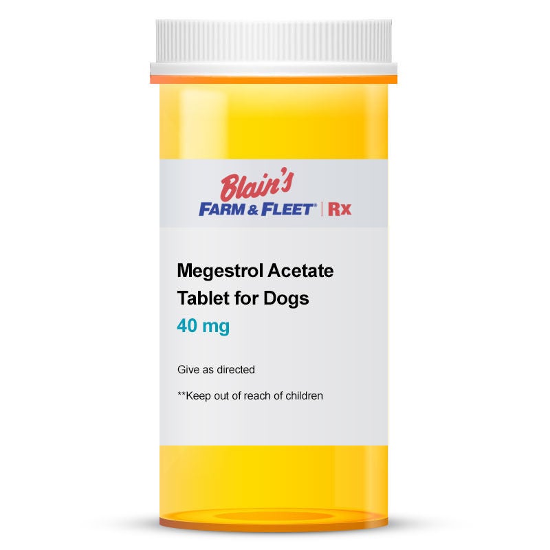 Megestrol Acetate Tablet, 40 mg