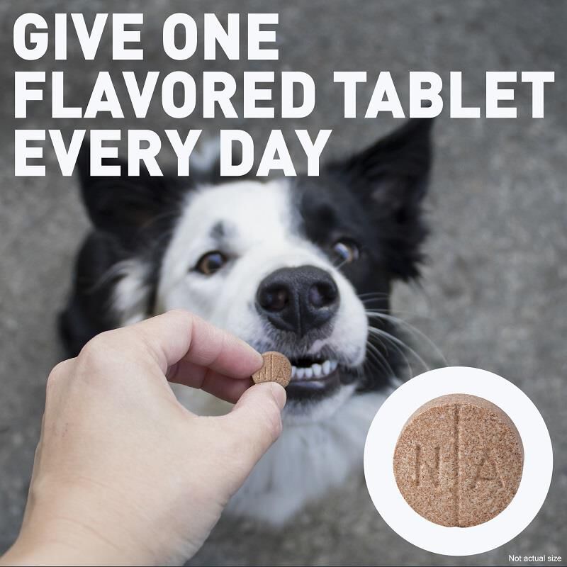Deramaxx Chewable Tablets for Dogs 25 mg, 60 Ct.