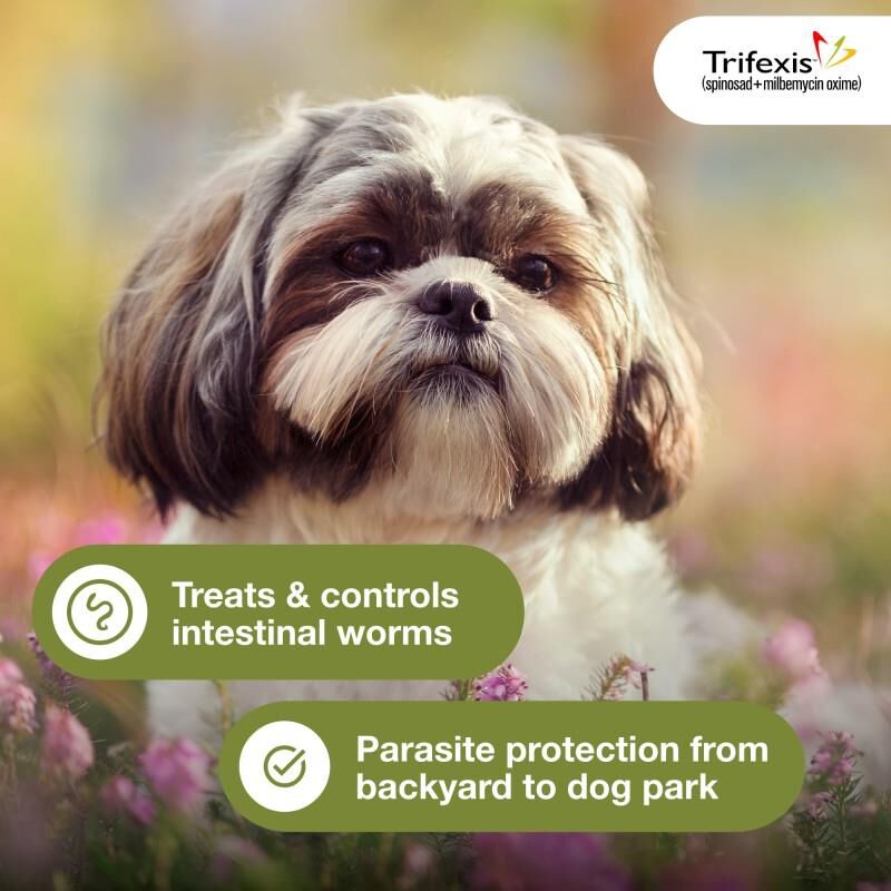 Trifexis Chewable Tablets for Dogs 5-10 lbs Pink, 3 Month Supply
