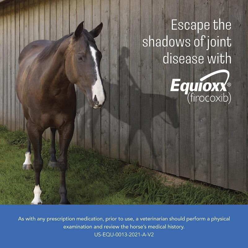 Equioxx, 57 mg Chewable Tablets, 180 Ct.