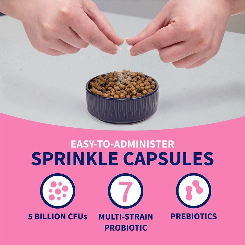 Proviable KP 30 ml Paste + 10 Caps for Dogs