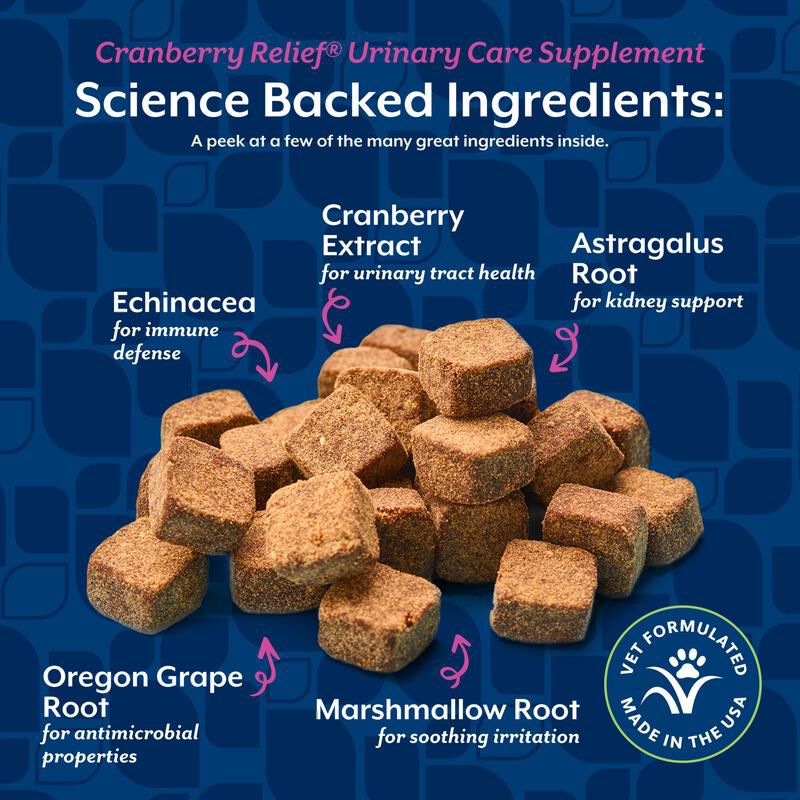 NaturVet Cranberry Relief Healthy Urinary Tract Plus Echinacea Soft Chews for Dogs, 120 Ct.
