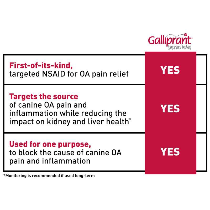Galliprant cheap kidney disease