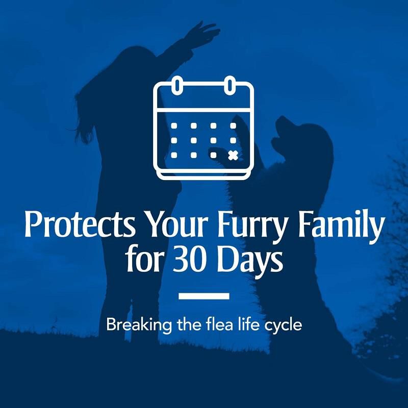 PetArmor Plus Flea and Tick Prevention for Medium Size Dogs (23 to 44 Pounds) Topical, 6 Monthly Treatments