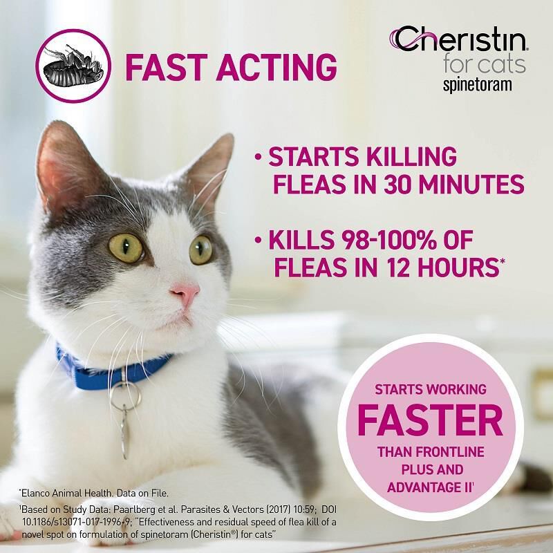 Cheristin flea medicine discount