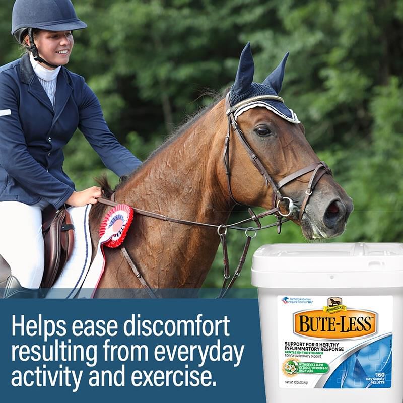 Absorbine Bute-Less Comfort & Recovery Supplement Pellets, 10 lbs