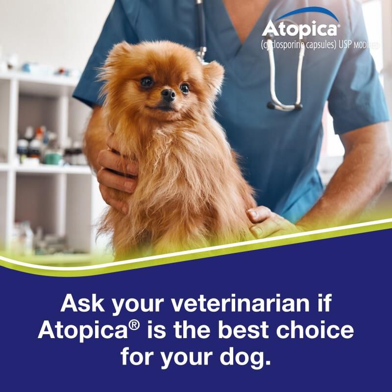 Atopica Capsules for Dogs 50 mg, 15 Ct.