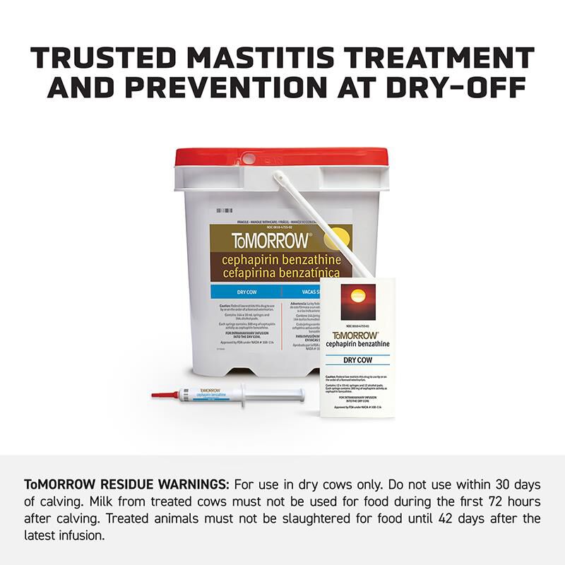 ToMORROW Mastitis Treatment for Dry Cows