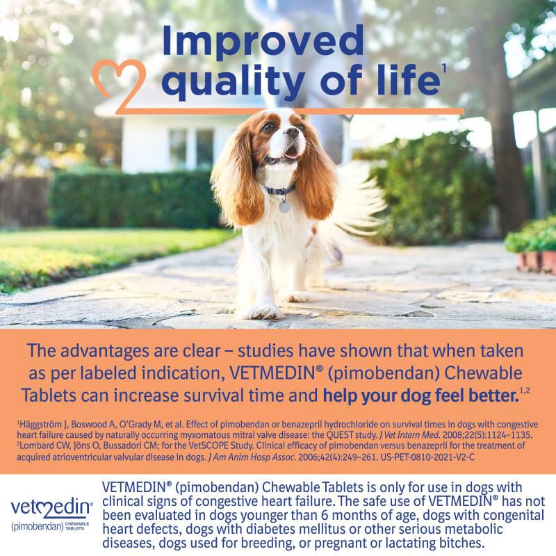 Vetmedin Chewable Tablets 1.25 mg, 100 Ct. (2 Pack)