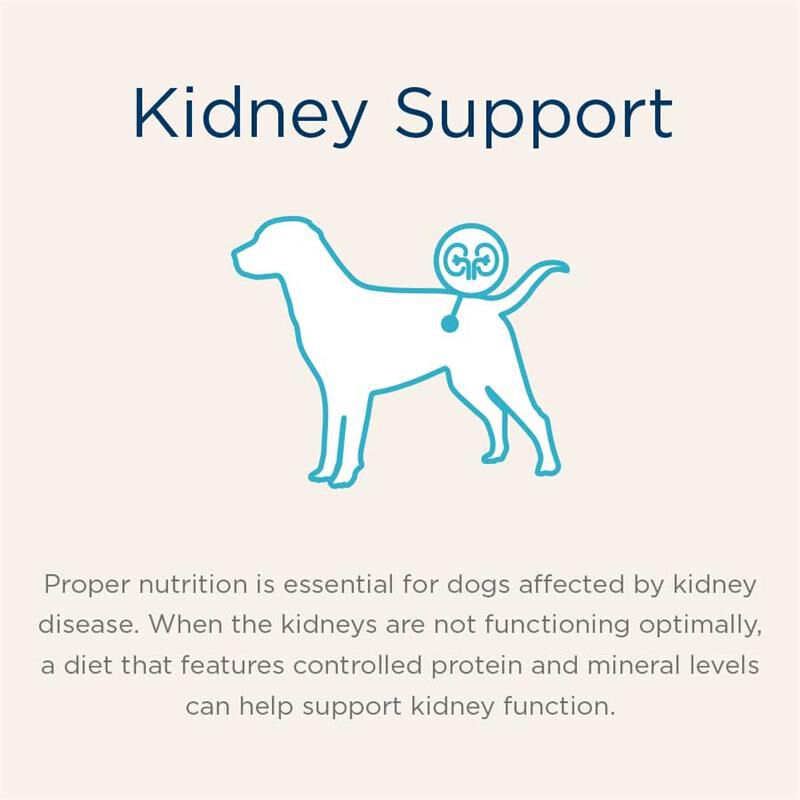 Blue Buffalo Natural Veterinary Diet KS Kidney Support Dry Dog Food