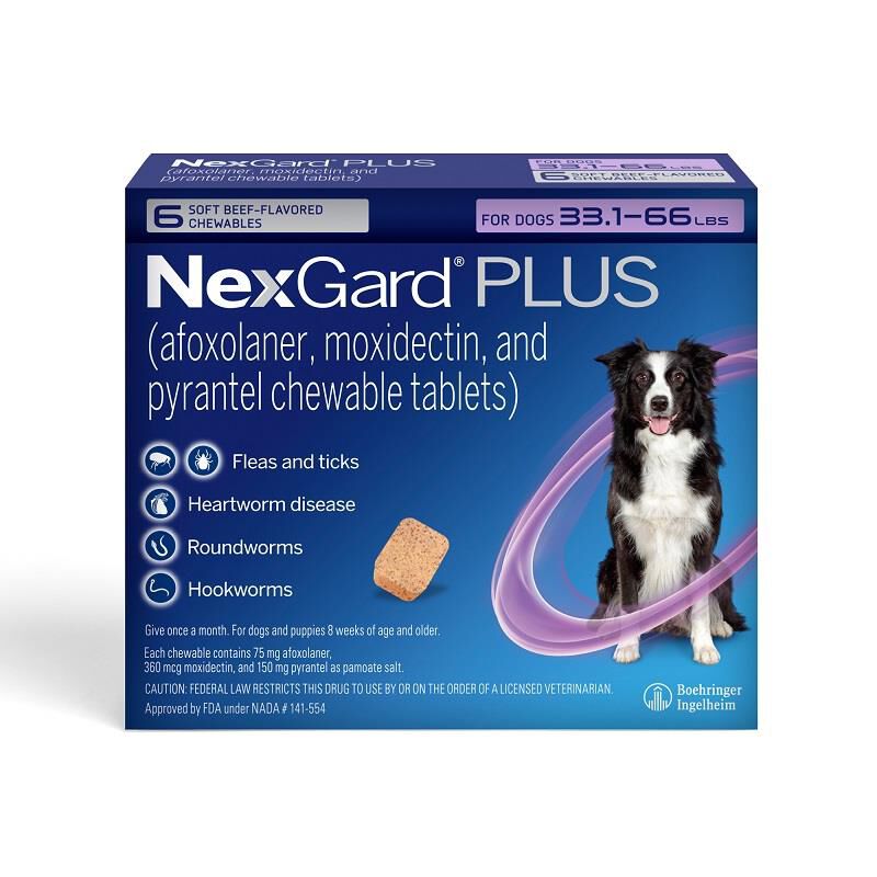 NexGard PLUS Chewables for Dogs 33.1-66 lbs Purple 6 Month Supply