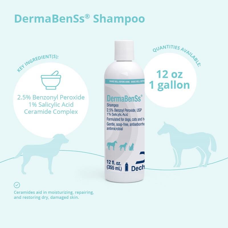 DermaBenSs Shampoo