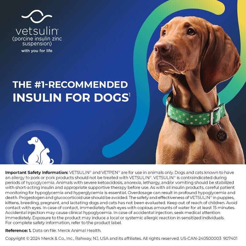 Vetsulin VetPen, 10 x ml Cartridges