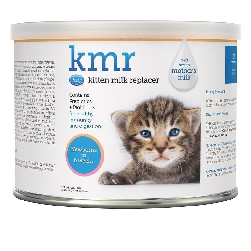 How to make kitten milk replacer at home deals