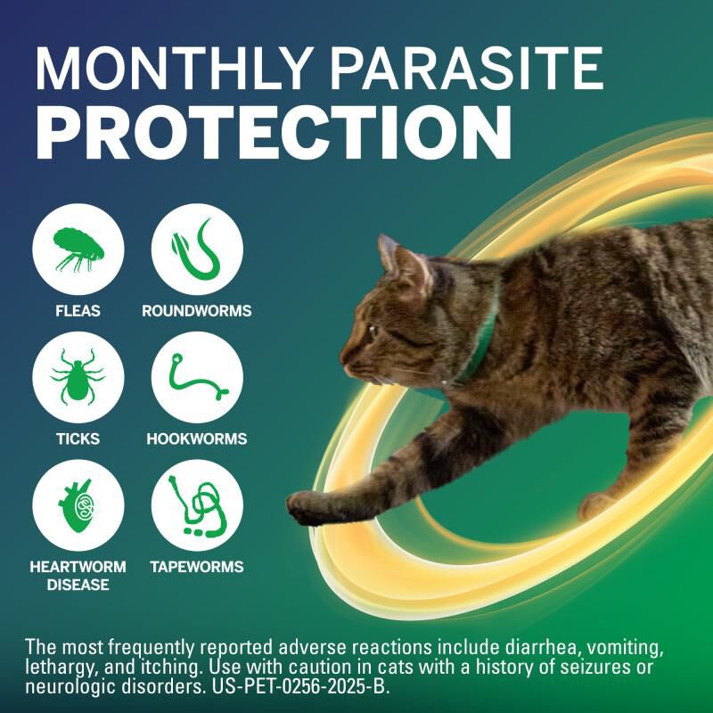 NexGard COMBO Flea, Tick & Heartworm Protection for Cats 5.6 lbs - 16.5 lbs Yellow, 6 Month Supply