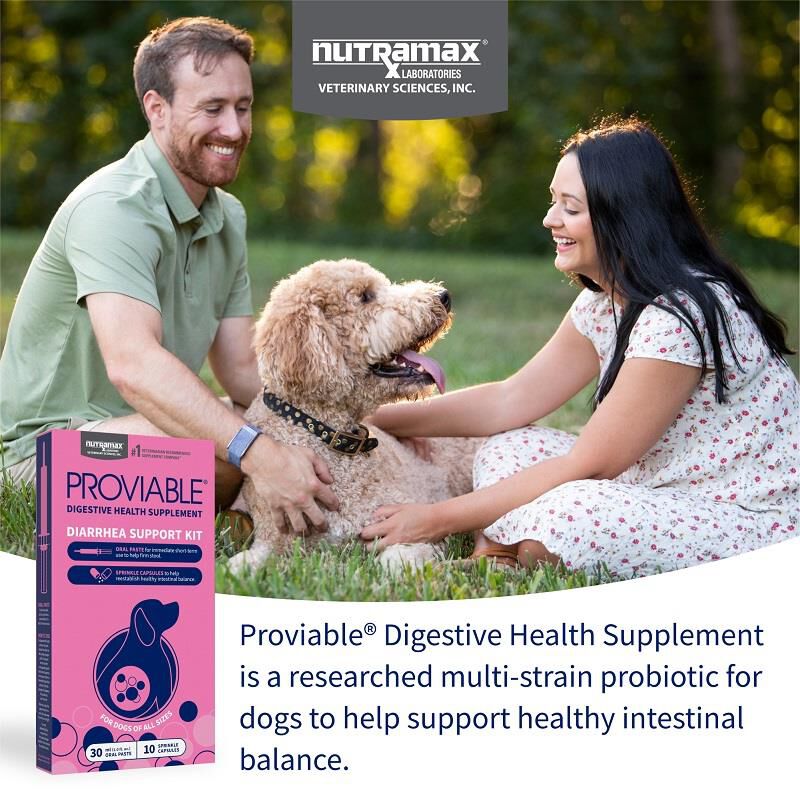Proviable KP 30 ml Paste + 10 Caps for Dogs