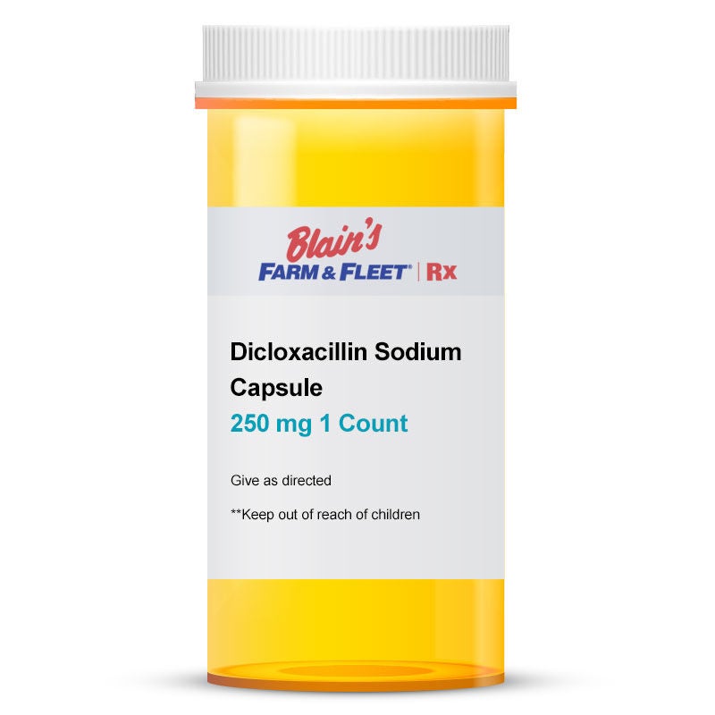 Dicloxacillin Sodium Capsule