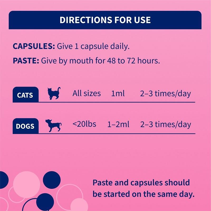 Proviable KP 15 ml Paste + 10 Caps for Dogs and Cats
