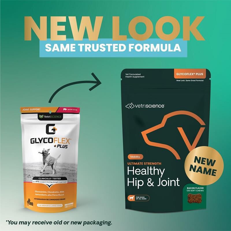 VetriScience Healthy Hip & Joint Glyco-Flex Plus Joint Support for Dogs, 120 Chews Bacon Flavor