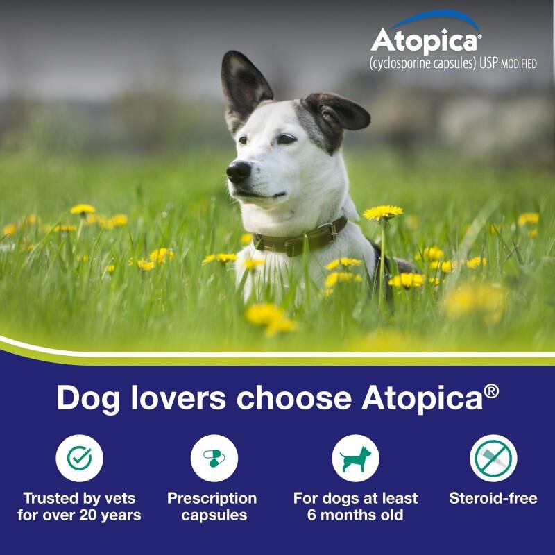Atopica Capsules for Dogs 50 mg, 15 Ct.