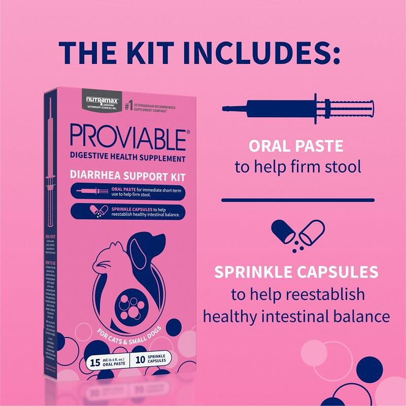 Proviable KP 15 ml Paste + 10 Caps for Dogs and Cats