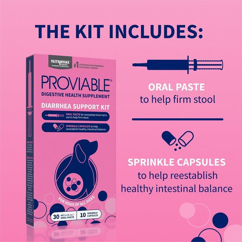Proviable KP 30 ml Paste + 10 Caps for Dogs
