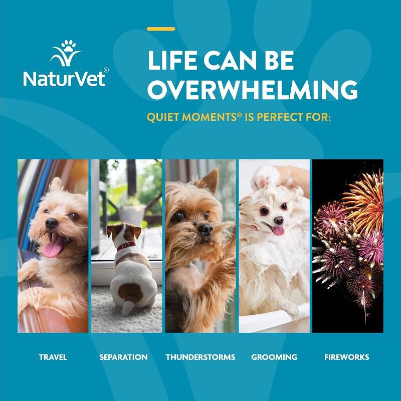 NaturVet Quiet Moments Calming Aid Plus Melatonin Soft Chews for Dogs, 240 Ct.