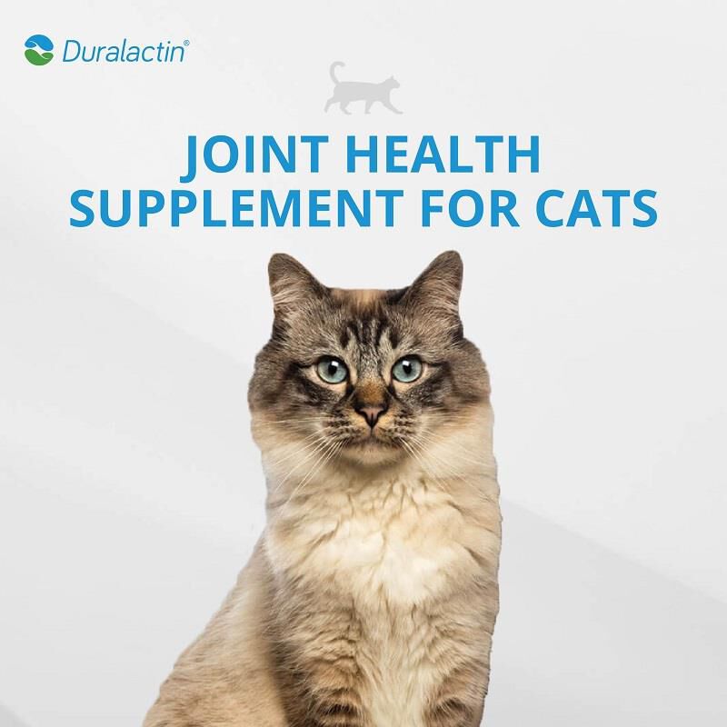 Duralactin Feline