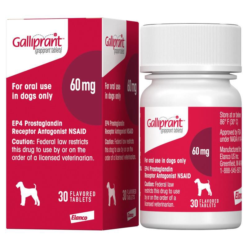 Galliprant Tablets for Dogs 60 mg, 30 Ct.