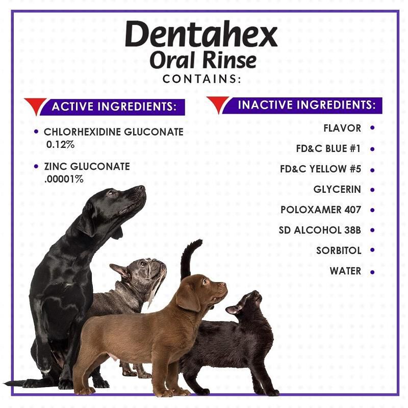 Dentahex Oral Rinse By Vet Solutions Farm Fleet Rx Pet Pharmacy