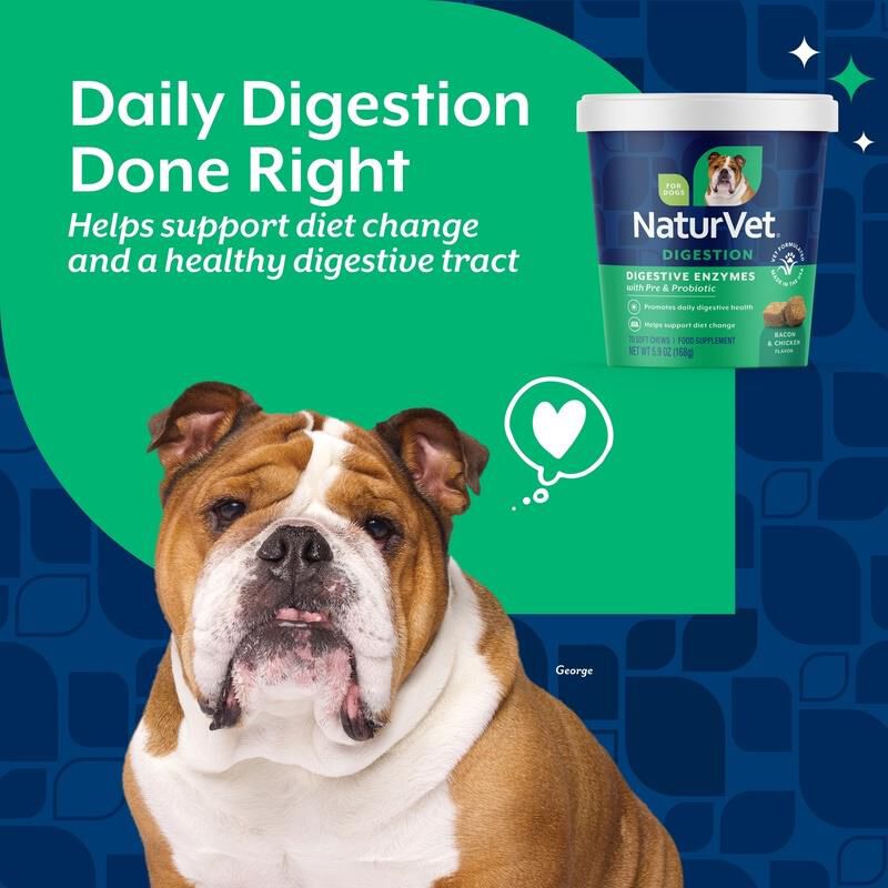 NaturVet Digestive Enzymes Plus Probiotic Soft Chews for Dogs, 70 Ct