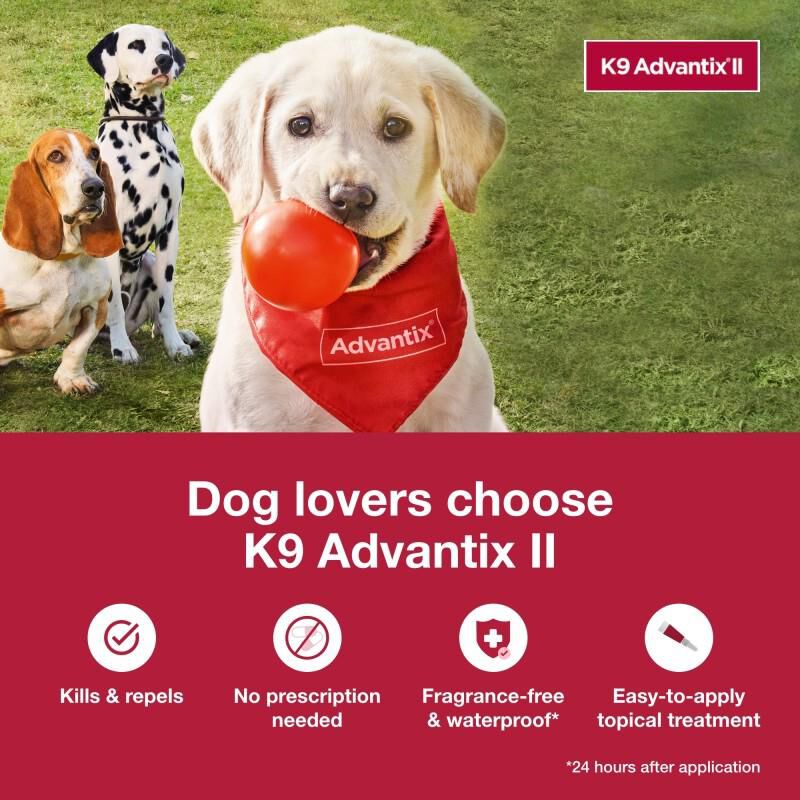 K9 Advantix II Flea and Tick Treatment for Extra Large Dogs, 6 Monthly Treatments