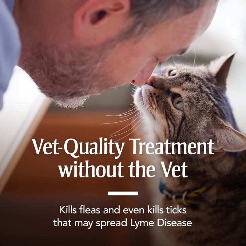 PetArmor Plus Flea and Tick Prevention for Cats (Over 1.5 Pounds) Topical, 3 Monthly Treatments