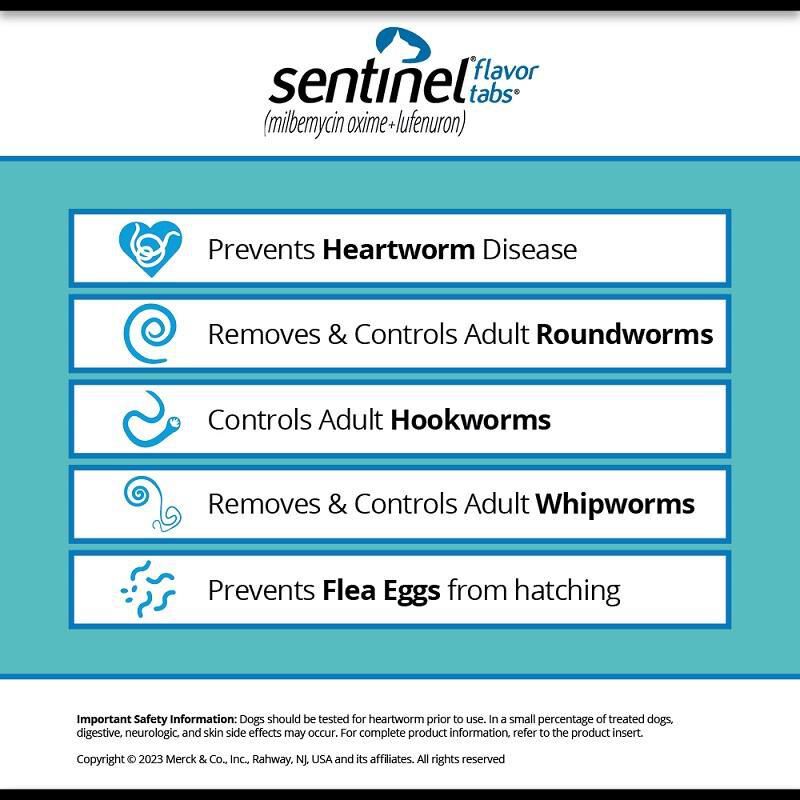 Sentinel Flavor Tablets for Dogs 26-50 lbs Yellow, 6 Month Supply
