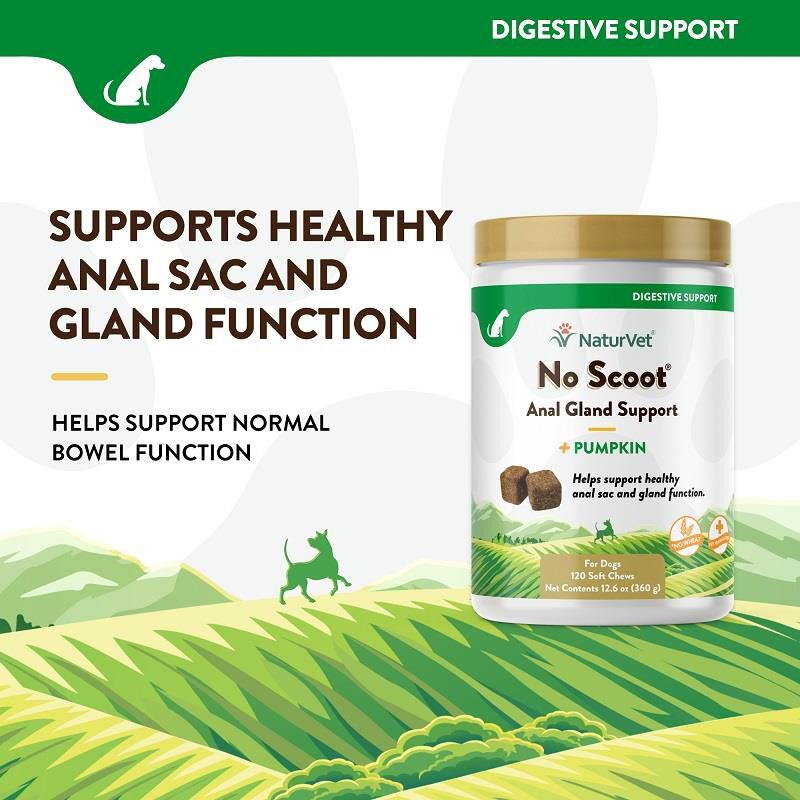 NaturVet No Scoot for Dogs, 120 Soft Chews