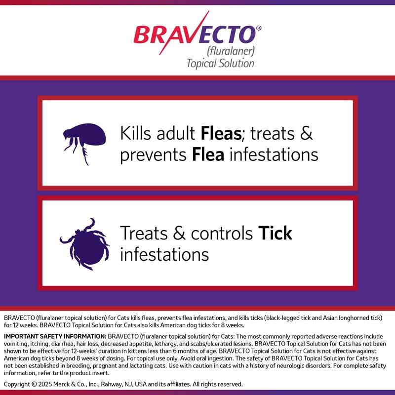 Bravecto Topical Solution for Cats
