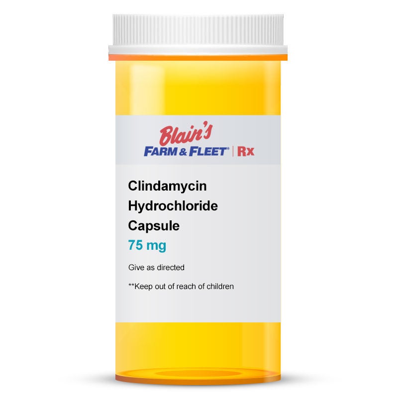 Clindamycin Hydrochloride Capsules