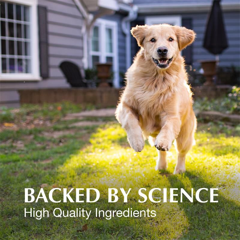 Crananidin for Dogs 75 Ct.
