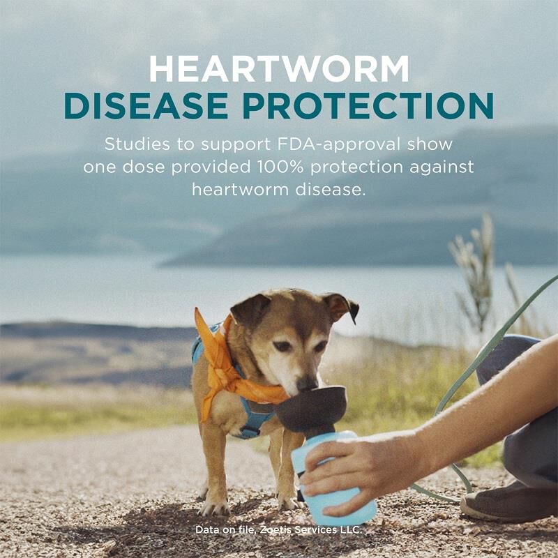 Farm and fleet dog vaccines cheap