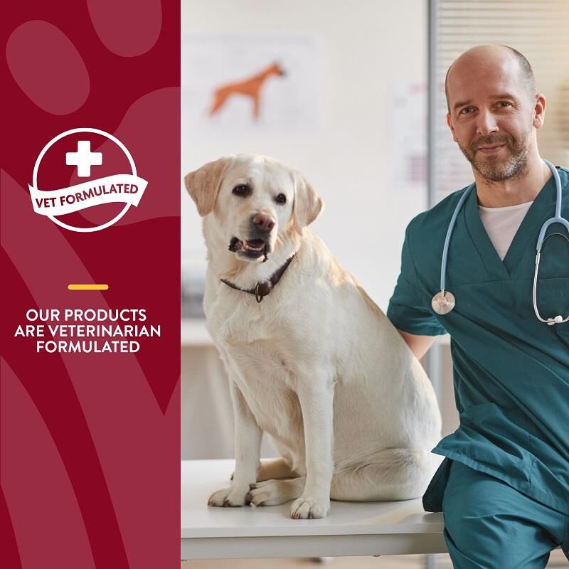 NaturVet Cranberry Relief Powder, 50 gm
