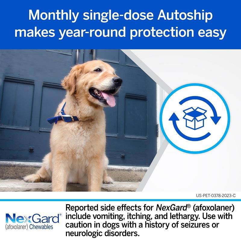 Nexgard 1 month shop