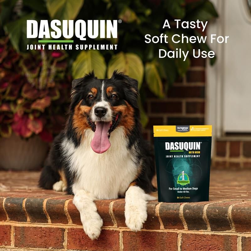 Dasuquin Soft Chews with MSM Small & Med Dogs under 60 lbs 84 Ct.