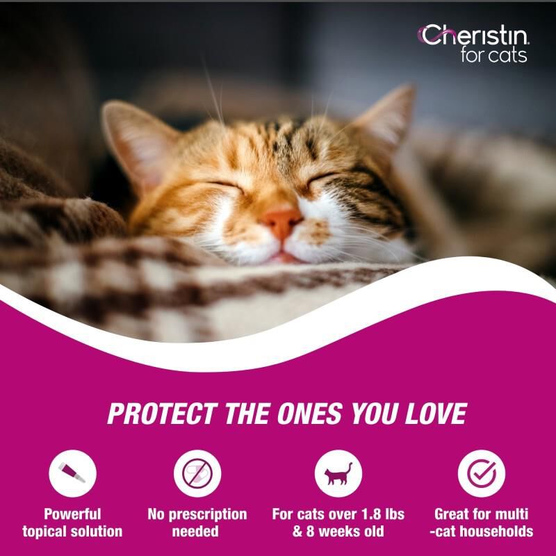 Elanco Animal Health Cheristin for Cats for Fleas, 3 Monthly Doses