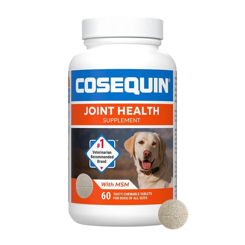 Cosequin Chews Plus MSM